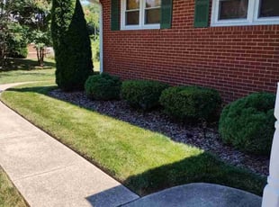Leah A.'s Bush Trimming service result