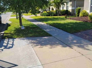 Abby P.'s grass cutting service result