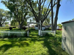 Peter A.'s grass maintenance service result