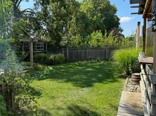 Artamease G.'s turf care service result