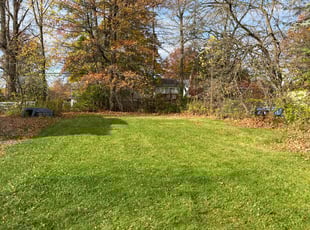 Devon J.'s lawn care service result