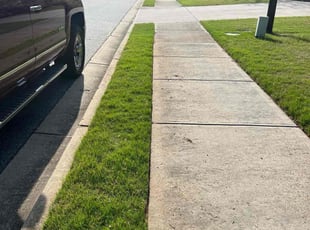 Dan M.'s turf maintenance service result
