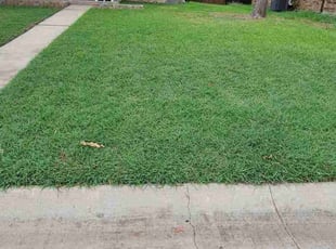 Barbara S.'s lawn care services service result