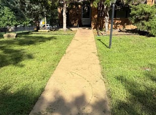 Daniel S.'s lawn care service result