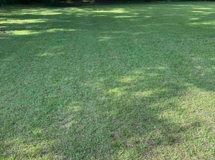 Eric B.'s lawn care services service result