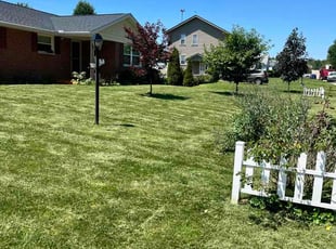 Susan S.'s grass cutting service result