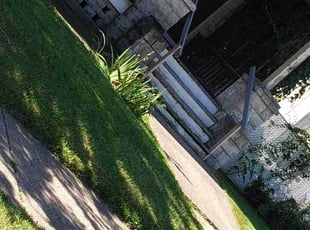 LaGina S.'s grass maintenance service result