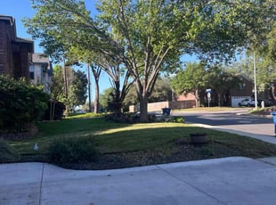 Stephanie N.'s lawn service service result