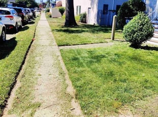 William R.'s lawn service service result