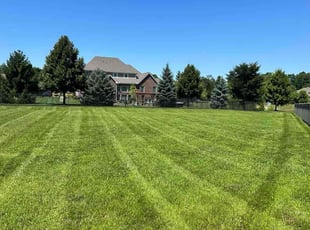 Marjorie M.'s grass cutting service result