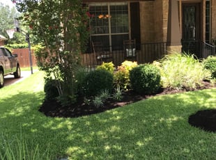 Gladys P.'s Bush Trimming service result