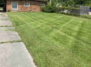 Brendella H.'s lawn care service result