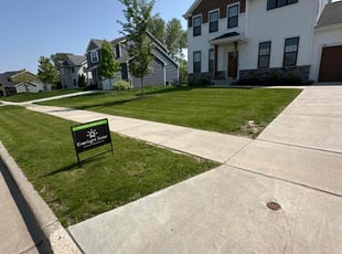 Heidi U.'s turf care service result