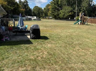 Jeff A.'s grass maintenance service result