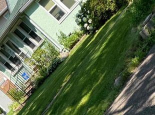 Dan B.'s lawn care services service result