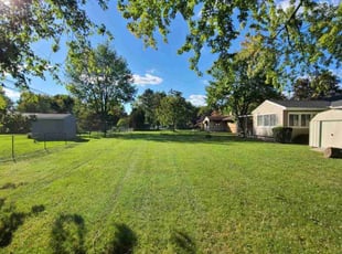 August D.'s grass cutting service result