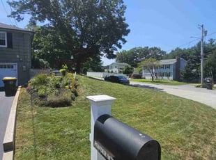 Maria W.'s lawn care service result