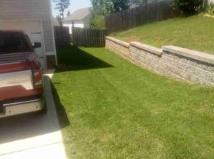 Rebecca B.'s turf care service result