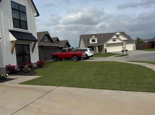 Zafar T.'s lawn care services service result