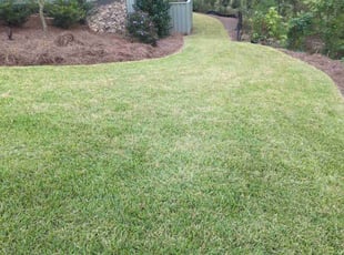 Michael O.'s lawn care service result