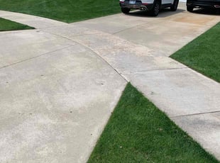 Sydney S.'s turf care service result