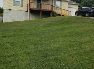 Linda J.'s lawn maintenance service result