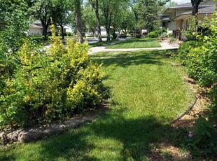Kenny N.'s lawn maintenance service result