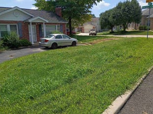 Angel A.'s grass cutting service result
