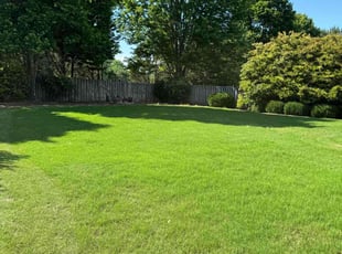 Aaron W.'s grass maintenance service result