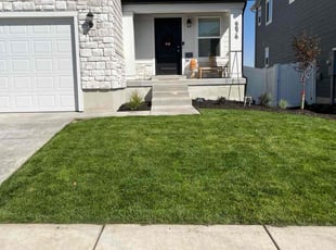 Ann K.'s lawn service service result