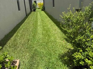 Kanique M.'s lawn care services service result