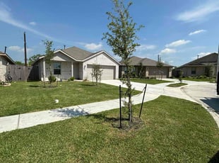 John S.'s grass cutting service result