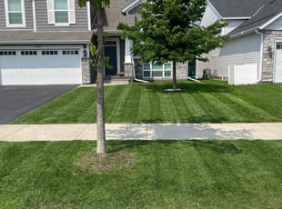 Jennifer N.'s grass maintenance service result
