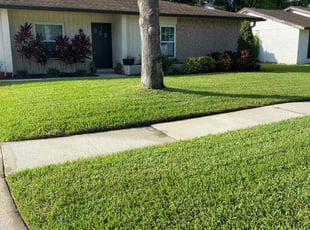 David T.'s turf care service result