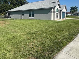 Craig V.'s lawn maintenance service result