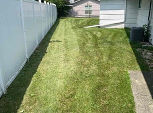 Linda G.'s lawn care service result