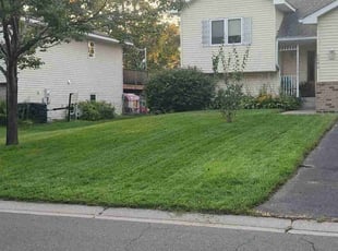 Rosemarie D.'s turf care service result