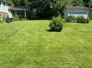 Nicole R.'s lawn service service result