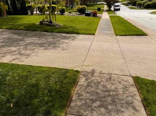 Jessica H.'s turf care service result