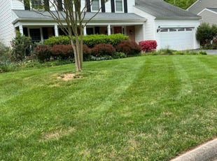 Shanee S.'s lawn care services service result