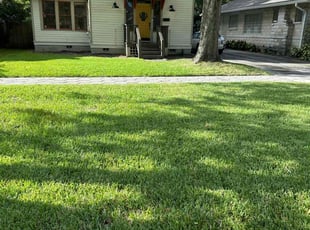 May N.'s turf care service result