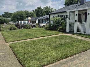 Dennis P.'s turf care service result