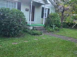 Karla K.'s Bush Trimming service result