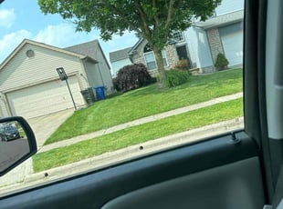 Jeffrey H.'s lawn service service result