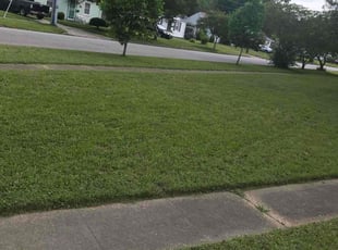 Tanya S.'s lawn maintenance service result