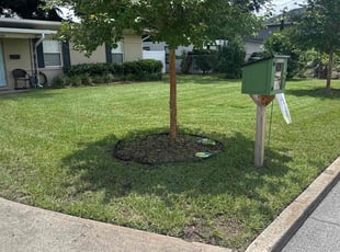 Ibelith M.'s lawn care services service result