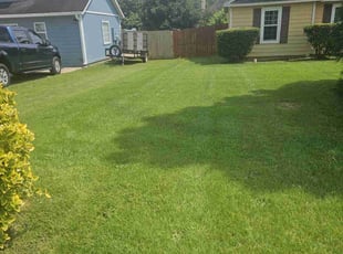 Sal B.'s lawn service service result