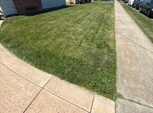 Ernesto F.'s lawn care service result