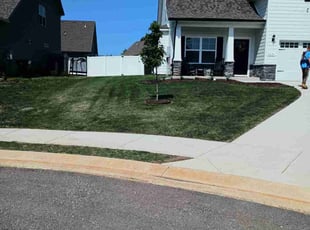 Myleea T.'s turf care service result