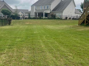 Bryan C.'s grass maintenance service result